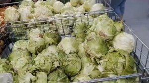 Цены на продукты+закупка/ Саратов/ 26 июня 2016/ Магнит