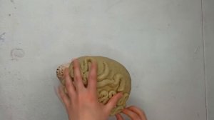 Мозг на Хэллоуин своими руками / Brain for Halloween DIY