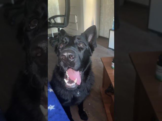 IMG 0086 смотреть онлайн