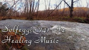 ? Сольфеджио 741 Гц ~ Удаляет токсины и негатив ~ Музыка для медитации