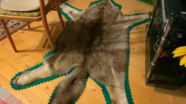 VLOG | Дом охотника смотреть онлайн