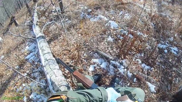 Охота на рябчика с манком-62018 Мр-94.