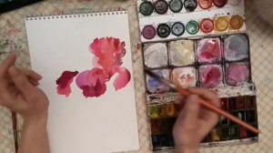 Рисования акварелью.Как нарисовать "Цветы. Ирисы.