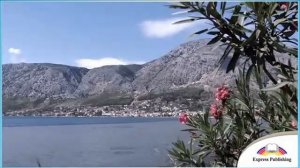 Excel 9. Module 3. City Life