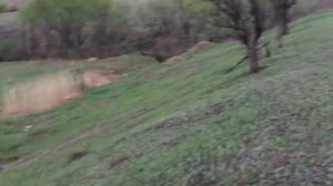 Мы едем по Приморью - Осиновка 10-05-2019