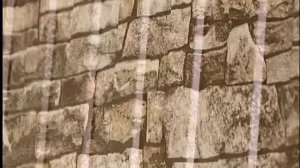 Профнастил с покрытием под дерево и камень