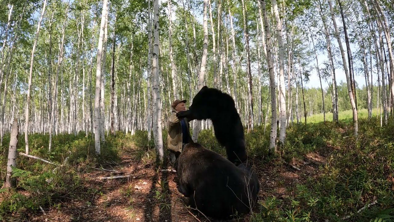 Посиделки с медведями. смотреть онлайн