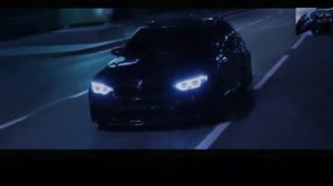 Дикая львица | 2019