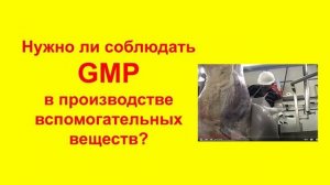 Зачем GMP производителю вспомогательных веществ
