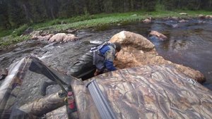 Горная река полная хариуса /  Рыбалка летом на севере 2021.