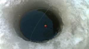 Ловля карася зимой, на поплавочные удочки
