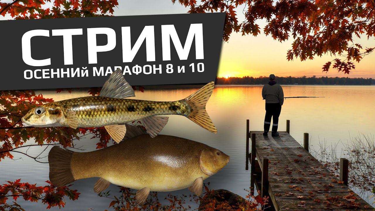 РУССКАЯ РЫБАЛКА 4 - Осенний марафон 2023 20 ур. квест №8, 10 / Пескарь / Линь, Язь и Голавль смотреть онлайн