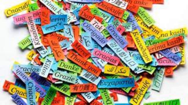 Все путают диглосию с билингвизмом. В чем разница? смотреть онлайн