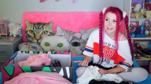 ? Няшный алик | Мои покупки с AliExpress ?