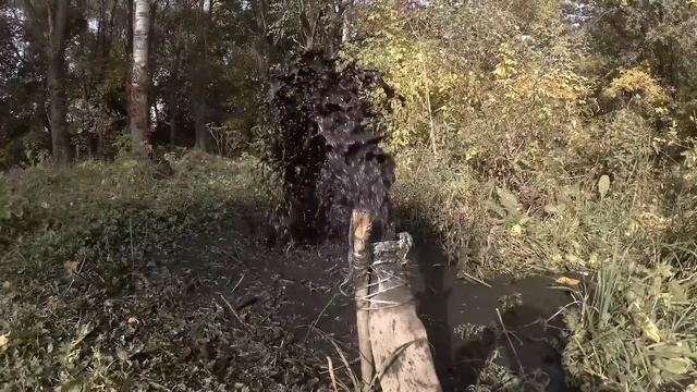 Чистим естественный пруд ( от ила )