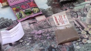 Огурцы часть 2. Обработка от болезней, вредителей и вирусов.