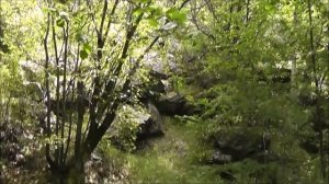 " Летняя Никишиха "  (Забайкальский край.)