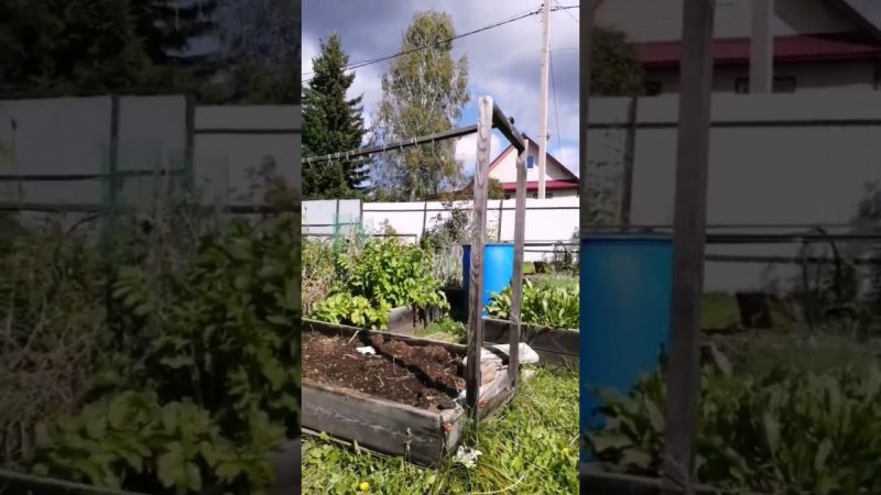 красивое небо сегодня #дача #shorts #SHORTS #небо #тучи #природа #огород #осень