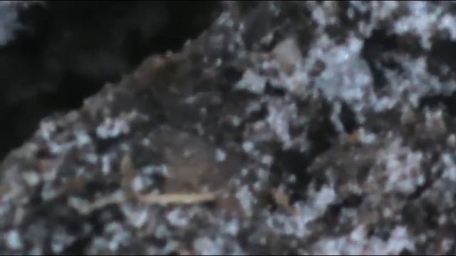 первый коп 2015г смотреть онлайн