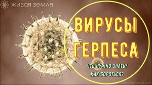 54. Вирусы герпеса (1, 2, Эпштейна –Барр). Что нужно знать? Как помочь? ФГК"Чёрный мед"