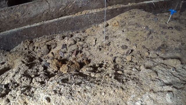 ЧТО ЕСЛИ В БАКТЕРИИ ЗАСЫПАТЬ КАПУСТУ смотреть онлайн