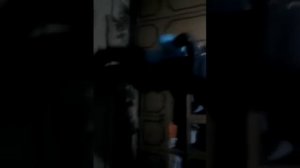 Драки до смерти