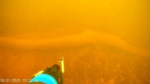 Подводная охота на канале имени Москвы.#5