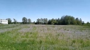 Начало медосбора. Наша медоносная база. Конец июня 2022 года.