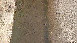 Охота с Рогаткой съемка с дрона SLINGSHOT FISHING