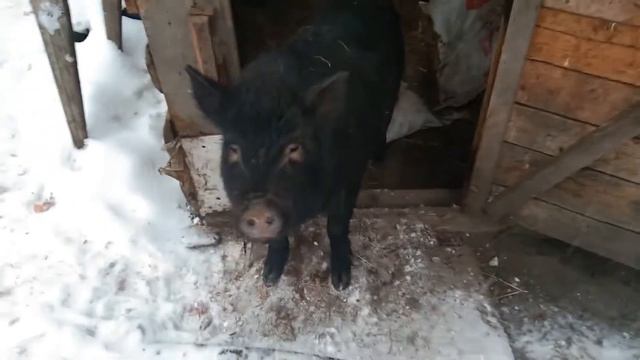 Доброго! снежного утра!