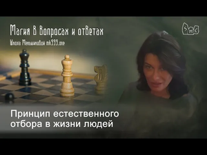 Принцип естественного отбора в жизни людей