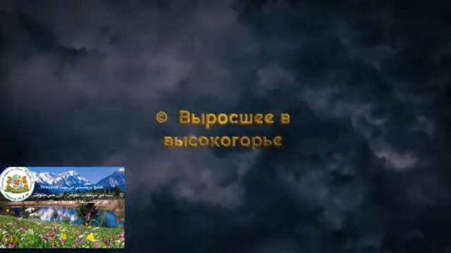 ™️Княжеский продукт от Дома Юсуповых. ™️ منتج برينسلي من بيت يوسوبوف. смотреть онлайн