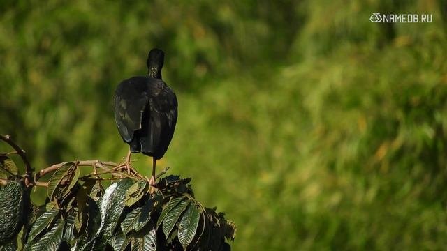 Женщины этих знаков Зодиака – лучшие тещи