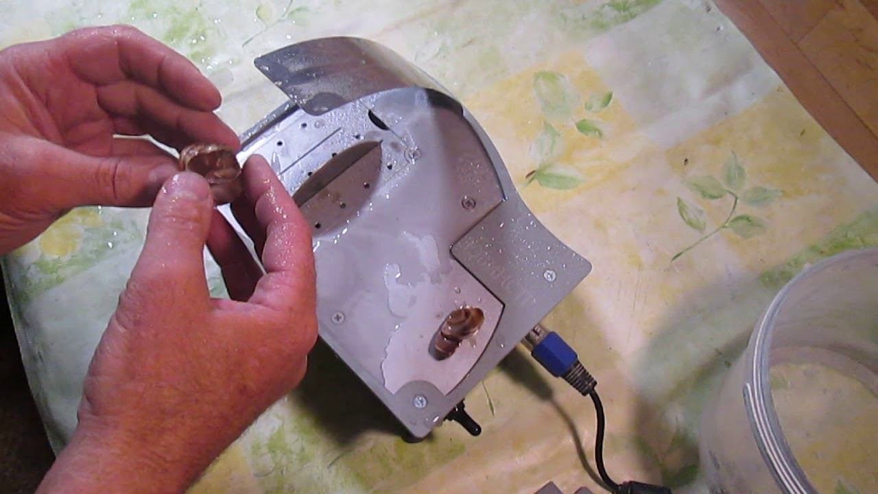режем ракушку