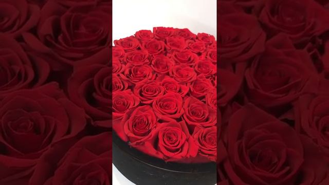 rose circle velvet flower boxes preserved roses flower fleur stabilise life eternal preserved rose