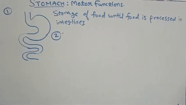 Bio GIT 17 : Stomach - Motor functions 1 смотреть онлайн