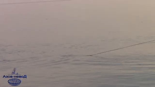 Кастинговая сеть "Супербюджет". Закидываем кастинговую сеть американского типа. смотреть онлайн