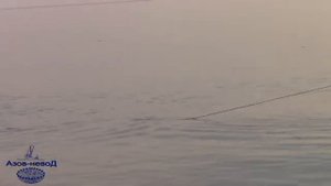 Кастинговая сеть "Супербюджет". Закидываем кастинговую сеть американского типа.