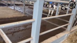 НАСОС ДЛЯ НАВОЗА