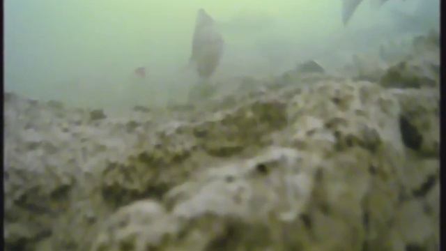 рыбалка! зима ) 2024 смотреть онлайн