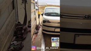 Владивосток погрузка автомобилей в автовоз и в закрытые фуры компания «АвтоДВтранзит»
