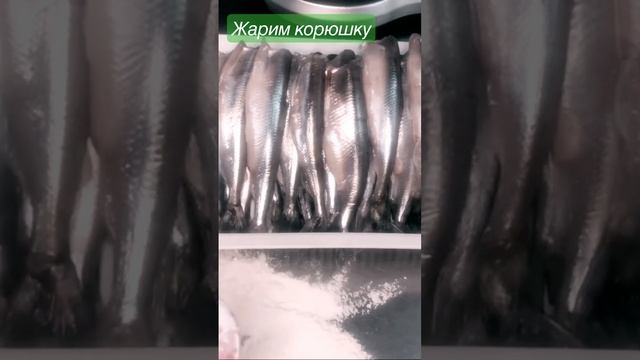 Вот и наступил тот короткий период когда можно полакомиться корюшкой.