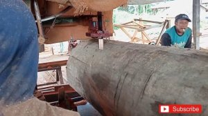 Woodworking,mesin penggergajian kayu meranti merah