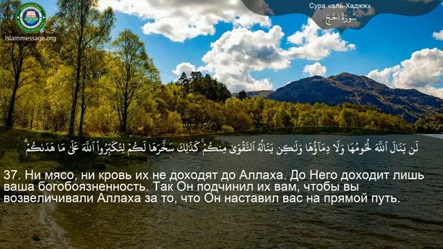 22. _Сура_ ❤️Аль-Хаджж❤️ Мишари Рашид смотреть онлайн