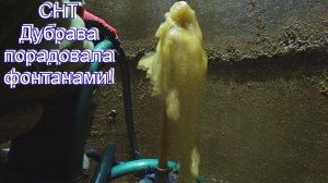 Химкинский район СНТ Дубрава, абиссинский прокол в колодце!
