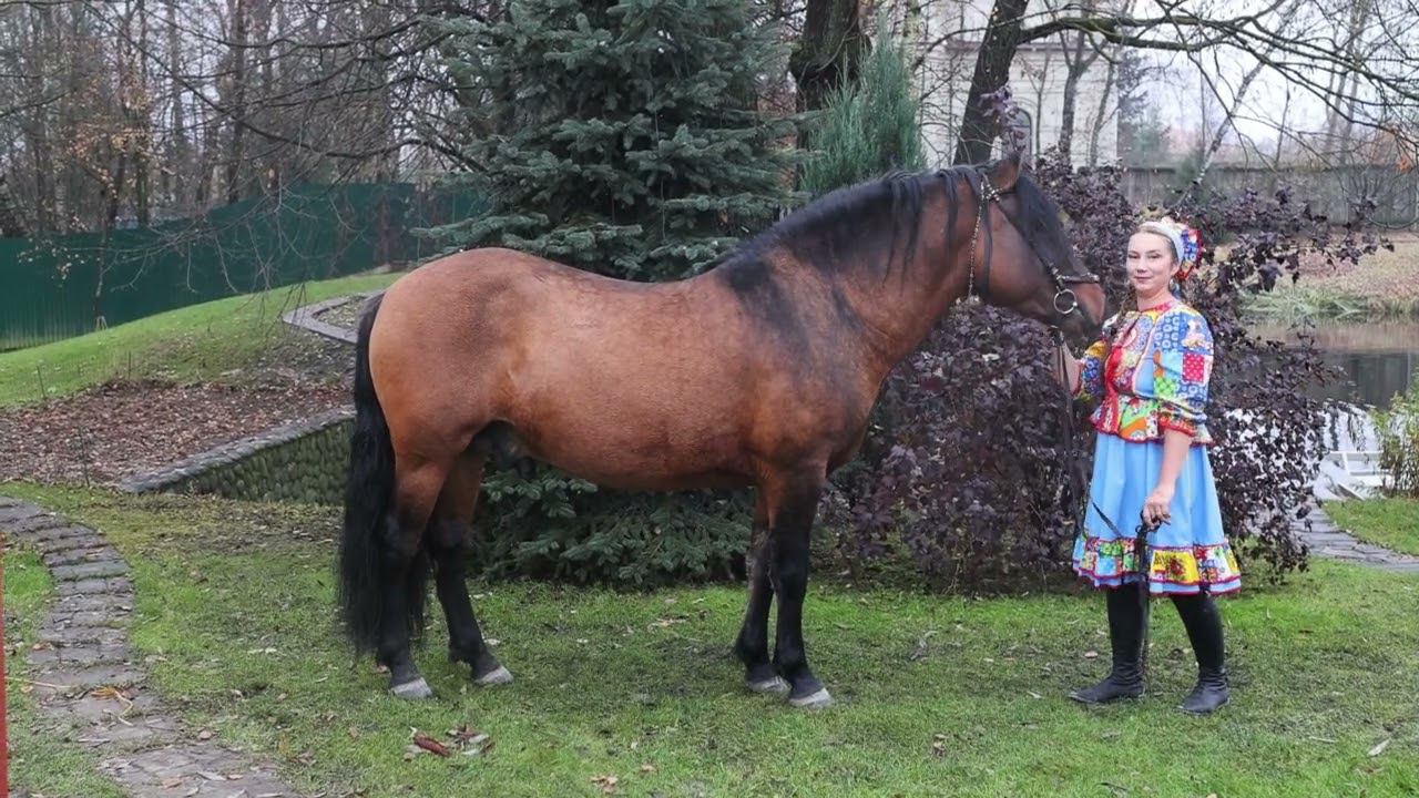 Ромул 1