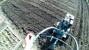 нарезка борозд под картофель культиватором .