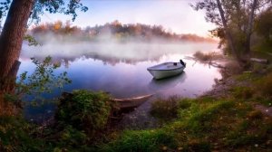 Про нечисть и бесов / Страшные истории про деревню и ведьм/ Деревенские страшилки