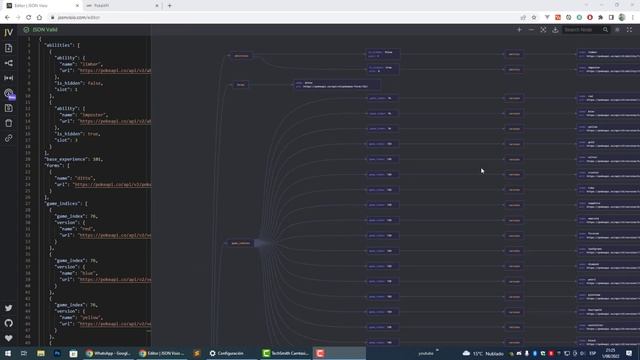 COMO VISUALIZAR UN JSON DE MANERA PROFESIONAL