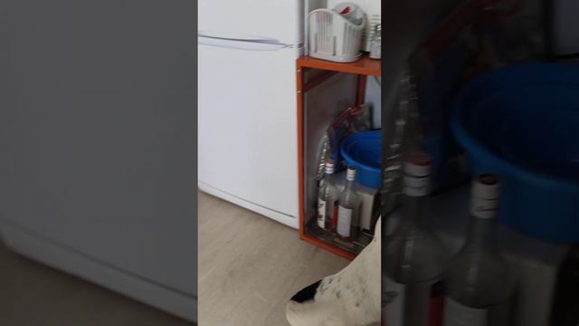 Пока мамы нет!27 августа 2023 г. смотреть онлайн